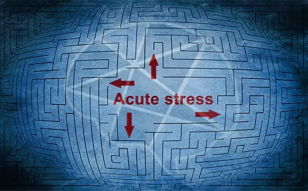 Caption Acute Stress atop a labyrinth to symbolize the intricate nature of this mental health challenge
