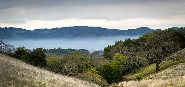 Photo featuring foggy landscape and picturesque hillside scenery to represent the Healdsburg area of California, where BTC hosts Ketamine therapy retreats while also providing services to patients