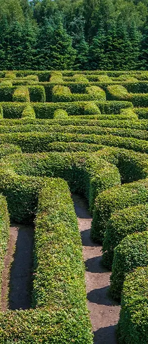 A maze crafted from a meticulously manicured garden, symbolizing the complexity of OCD, and showcasing the journey towards mental wellness through ketamine therapy