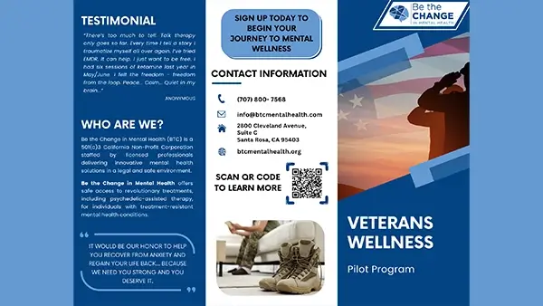 Screenshot of Veterans' Pilot Program at BTC. Click to open the PDF.