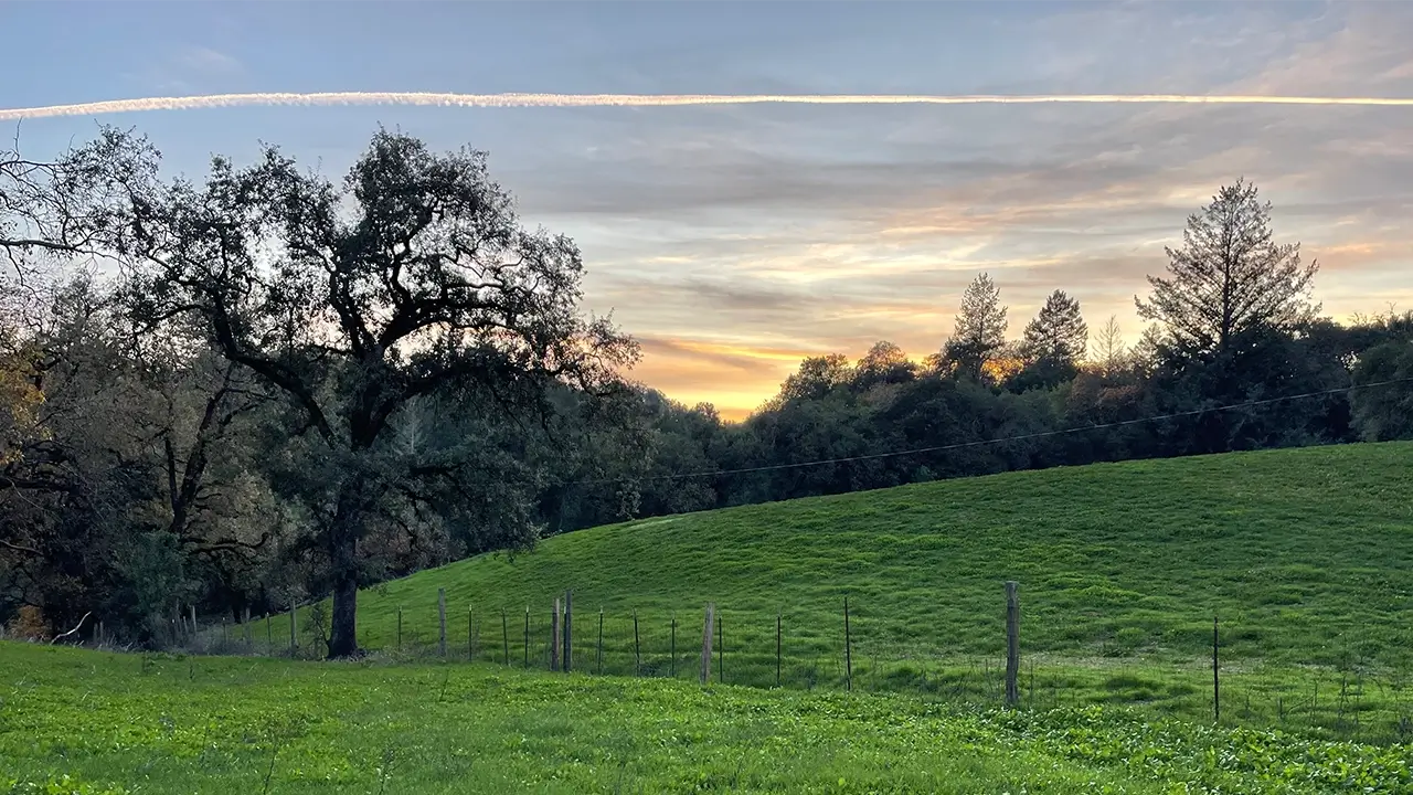 Hillside view of the Healdsburg retreat venue for Be the Change in Mental Health's ketamine group therapy sessions in California